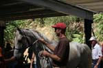 1208TEV_486