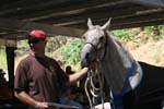 1208TEV_488