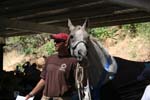 1208TEV_489