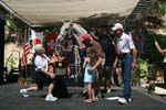 1208TEV_492