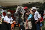 1208TEV_494
