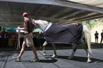 1208TEV_495