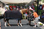 1208TEV_503