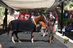 1208TEV_504