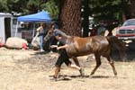 IMG_9556