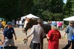 IMG_0061