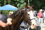 IMG_0063