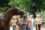 IMG_0093