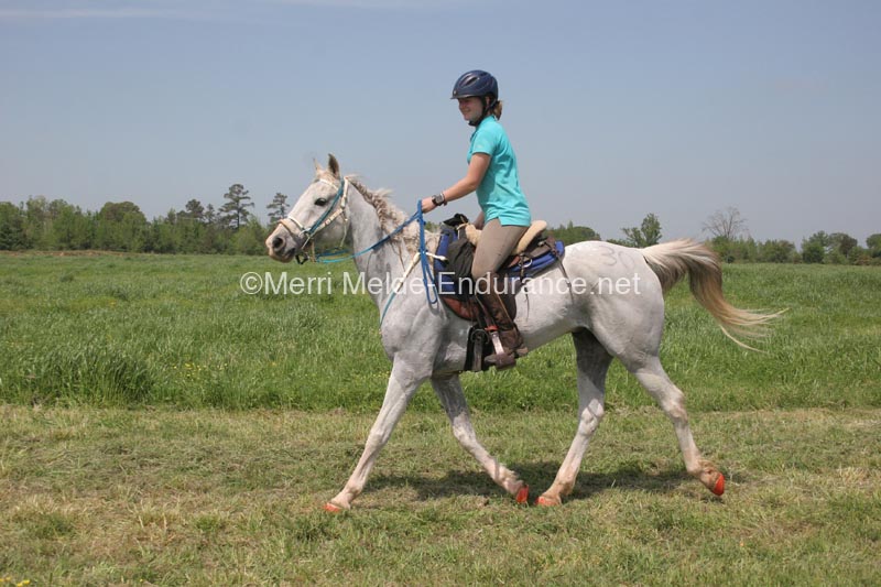 1203USATT_0888