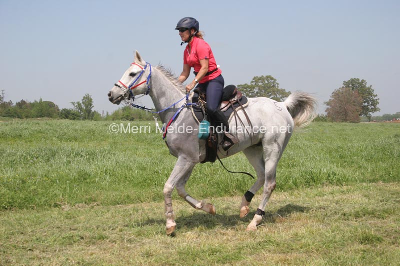 1203USATT_0891