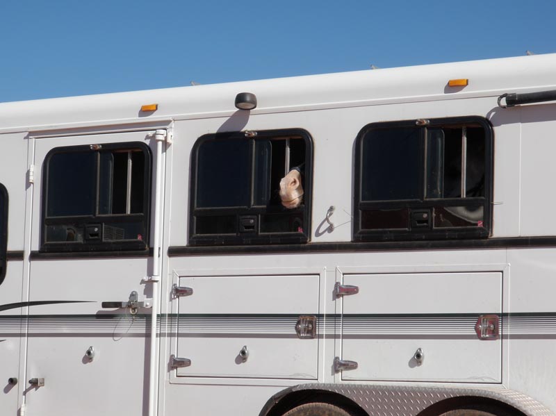 1310Moab_081