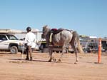 1310Moab_082