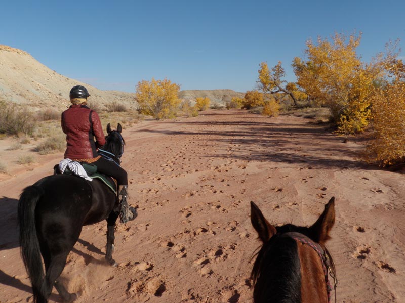 1310Moab_139