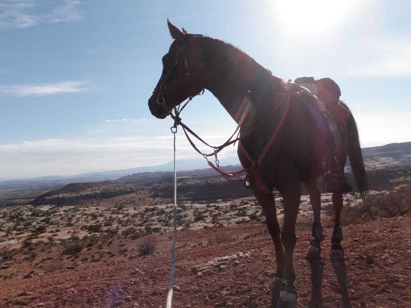 1310Moab_156