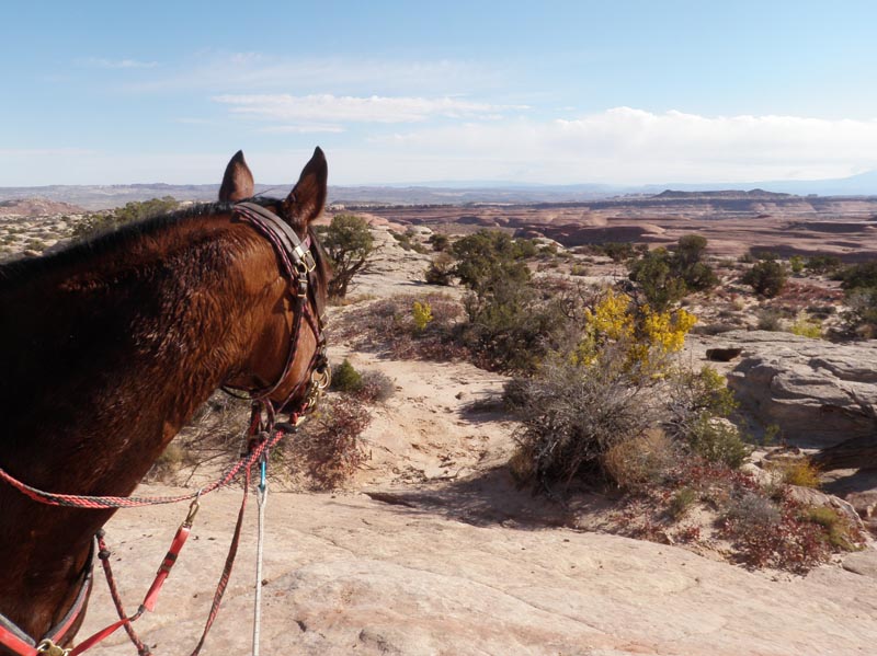 1310Moab_162
