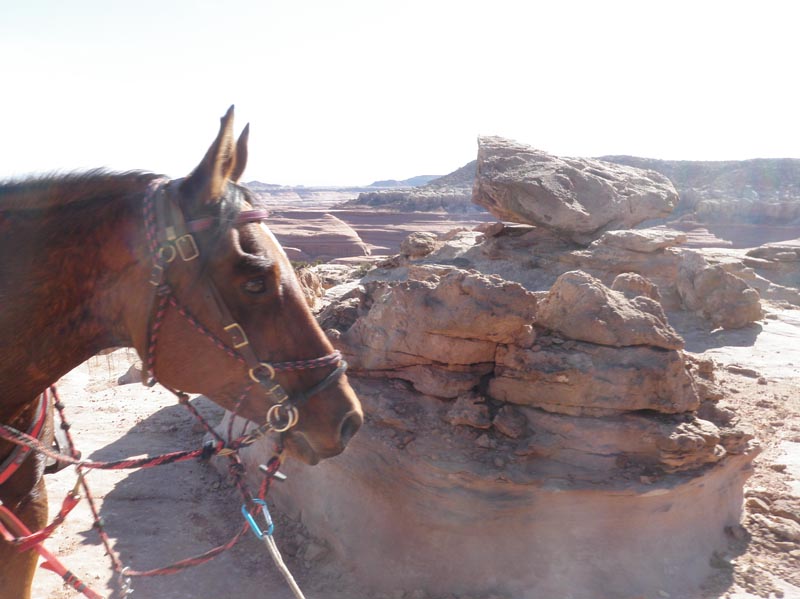 1310Moab_163