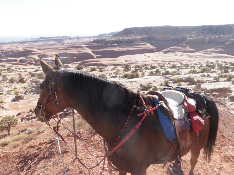 1310Moab_167