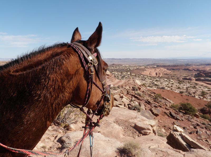 1310Moab_169