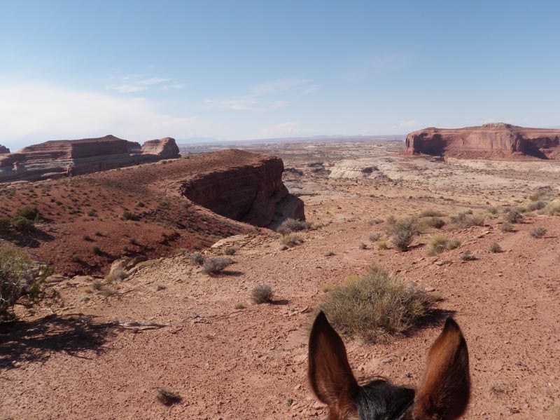 1310Moab_178