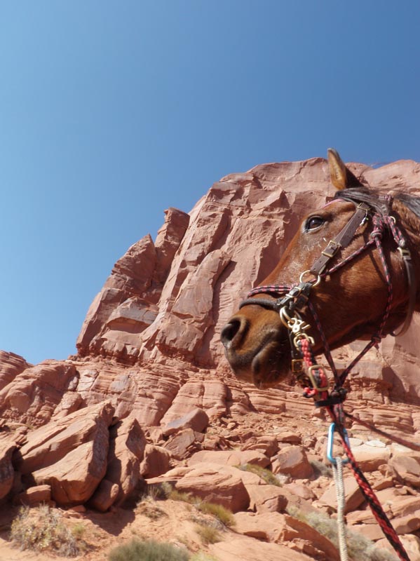 1310Moab_196