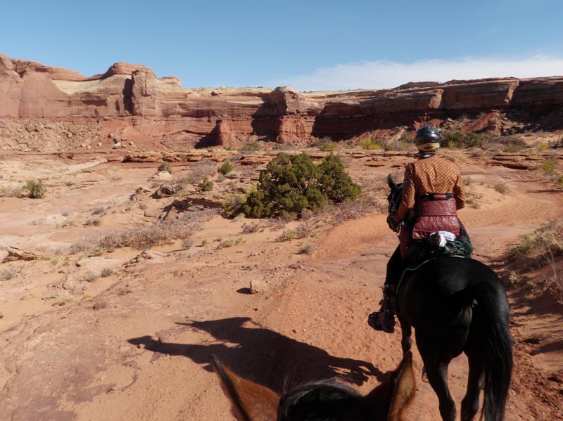 1310Moab_220