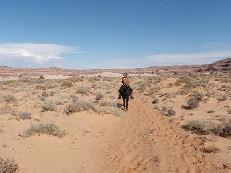 1310Moab_231