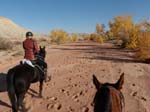1310Moab_139