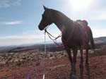 1310Moab_156