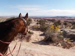 1310Moab_162