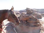 1310Moab_163