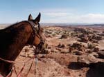 1310Moab_165