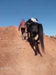 1310Moab_166