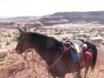 1310Moab_167