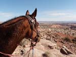 1310Moab_169