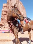 1310Moab_197