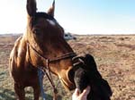 1310Moab_241