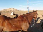 1310Moab_243