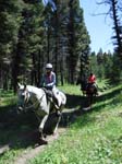 DSCF0981
