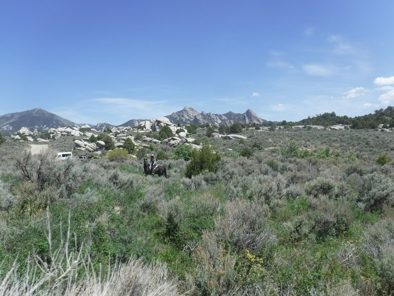 DSCF2757