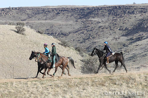 junk fly er nok Endurance.Net 2021 Eagle Canyon