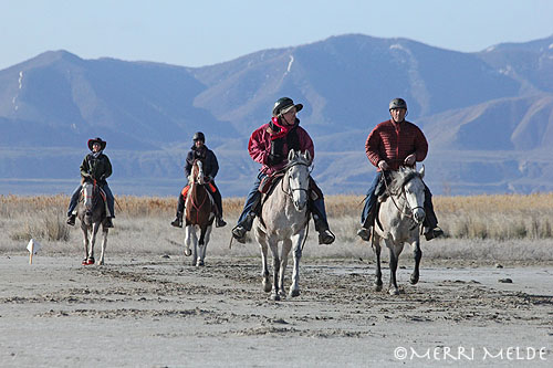 Mountain Region Endurance Riders