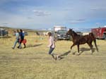 IMG_1517
