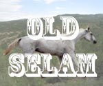 Old Selam Pioneer