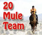 Twenty Mule Team
