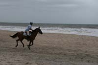 international/Uruguay/2009PanAm/gallery/apr25_Beach/thumbnails/IMG_4040.jpg