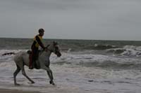 international/Uruguay/2009PanAm/gallery/apr25_Beach/thumbnails/IMG_4136.jpg
