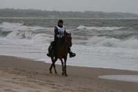 international/Uruguay/2009PanAm/gallery/apr25_Beach/thumbnails/IMG_4152.jpg