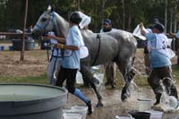 international/Uruguay/2009PanAm/gallery/apr25_Camp/thumbnails/IMG_4268.jpg