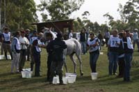 international/Uruguay/2009PanAm/gallery/apr25_Camp/thumbnails/IMG_4272.jpg