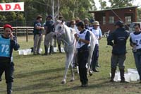 international/Uruguay/2009PanAm/gallery/apr25_Camp/thumbnails/IMG_4273.jpg